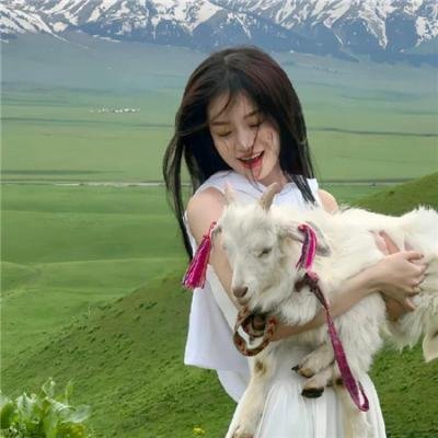 女子大乱斗